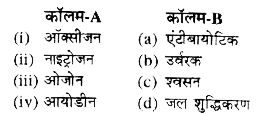 दिए गए शब्दों का मिलान कॉलम-B' से कीजिए