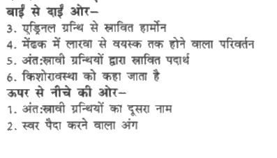 शब्द पहेली-शब्द बनाने के लिए संकेत संदेश का प्रयोग कीजिए-