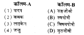 कॉलम-A में दिए गए शब्दों का मिलान कॉलम-B से कीजिए