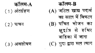 कॉलम-A में दिए गए शब्दों का मिलान कॉलम-B से कीजिए