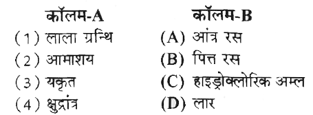 कॉलम-A में दिए गए शब्दों का मिलान कॉलम-B से कीजिए