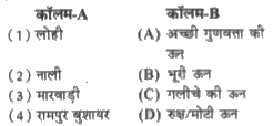 कॉलम-A में दिए गए शब्दों का मिलान कॉलम-B से कीजिए