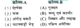 कॉलम-A में दिए गए शब्दों का मिलान कॉलम-B से कीजिए