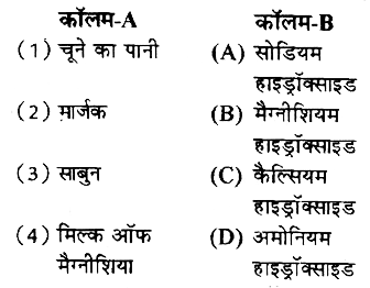 कॉलम-A में दिए गए शब्दों का मिलान कॉलम-B से कीजिए