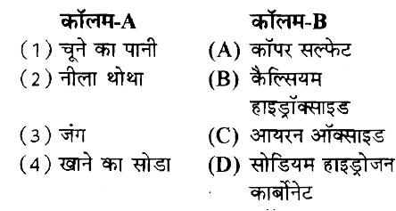 कॉलम-A में दिए गए शब्दों का मिलान कॉलम-B से कीजिए