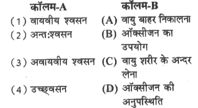 कॉलम-A में दिए गए शब्दों का मिलान कॉलम-B से कीजिए-