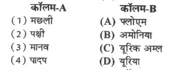 कॉलम-A में दिए गए शब्दों का मिलान कॉलम-B से कीजिए-