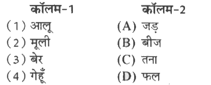 दिए गए शब्दों का मिलान कॉलम-2 से कीजिए