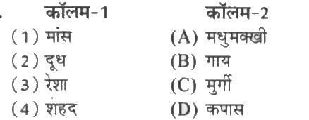 दिए गए शब्दों का मिलान कॉलम-2 से कीजिए