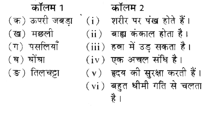 कॉलम 1 में दिए गए शब्दों का सम्बन्ध कॉलम 2 के एक अथवा अधिक कथन से जोडिए <