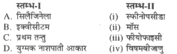 स्तम्भ-I में दिये गये पदों का स्तम्भ-II में दिये गये पदों के साथ सही मिलान कीजिए-