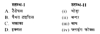 स्तम्भ-I में दिये गये पदों का स्तम्भ-II में दिये गये पदों के साथ सही मिलान कीजिए -