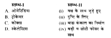 स्तम्भ-I में दिये गये पदों का स्तम्भ-II में दिये गये पदों के साथ सही मिलान कीजिए -