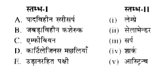 स्तम्भ-I में दिये गये पदों का स्तम्भ-II में दिये गये पदों के साथ सही मिलान कीजिए -