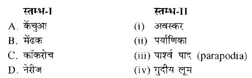 स्तम्भ-I में दिये गये पदों का स्तम्भ-II में दिये गये पदों के साथ सही मिलान कीजिए