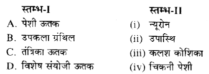स्तम्भ-I में दिये गये पदों का स्तम्भ-II में दिये गये पदों के साथ सही मिलान कीजिए