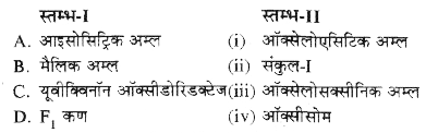 निम्न को सुमेलित कीजिए-   स्तम्भ में दिए गए पदों का स्तम्भ में दिए गए पदों के साथ सही मिलान कीजिये-