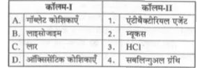 कॉलम-I को कॉलम-II के साथ सुमेलित कीजिए तथा सही कथन छाँटिए