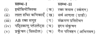 स्तम्भ-I का स्तम्भ-II से मिलान करें।