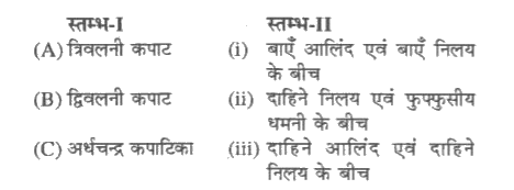 स्तम्भ-I में दी गई मदों का स्तम्भ-II की मदों से मिलान कीजिए और नीचे दिए गये विकल्पों में से सही विकल्प का चयन कीजिए-