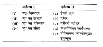 कॉलम के उत्सर्जी कार्यों का कॉलम II के उत्सर्जी तंत्रों से मिलान कीजिए और सही उत्तर चुनिए-