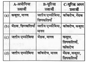 निम्नलिखित में से किस एक विकल्प में छः प्राणियों को उनके अपने-अपने प्रकार के निकाले जाने वाले नाइट्रोजनी अपशिष्ट (A, B, C) के अनुसार सही-सही श्रेणी में रखा गया है-