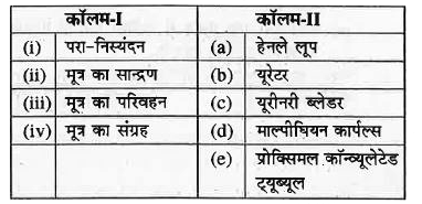 कॉलम-I के उत्सर्जी कार्यों का कॉलम-II के उत्सर्जी तंत्रों से मिलान कीजिए और सही उत्तर चुनिए-