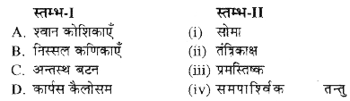 स्तम्भ-I में दिये गये पदों का स्तम्भ-II में दिये गये पदों के साथ सही मिलान कीजिए-