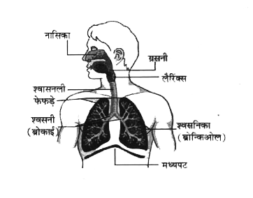 ocr_image