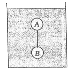 समान आयतन परन्तु असमान घनत्वों  d(A) तथा d(B) वाले दो ठोस गोले A व B एक धागे से जोड़े गये है। ये दोनों d(F) घनत्व के एक द्रव में डूबे हुए है। साम्य अवस्था में वे दोनों चित्र में दिखाये अनुसार है और घागे में तनाव है। गेंदों को इस अवस्था में रहने के लिए जरूरी है कि-