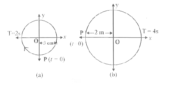 चित्र में दिए गए दो आरेख दो वर्तल गतियों के तदनुरूपी हैं। प्रत्येक आरेख पर वृत्त की त्रिज्या, परिक्रमण-काल, आरंभिक स्थिति और परिक्रमण की दिशा दर्शायी गई है। प्रत्येक प्रकरण में, परिक्रमण करते कण के त्रिज्य-सदिश के x अक्ष पर प्रक्षेप के तदनुरूपी सरल आवर्त गति ज्ञात कीजिए।