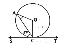 दी गई आकृति में O   वृत्त का केंद्र तथा SCT   बिंदु C  पर स्पर्श रेखा है। यदि angleACS=57^(@)    हो ,तो   angleOAC   की माप है -