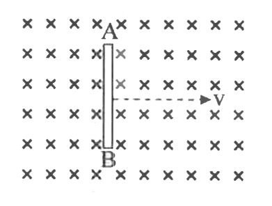 चित्रानुसार एक चालक छड़ AB नियत वेग v से एकसमान चुंबकीय क्षेत्र में गतिशील है-