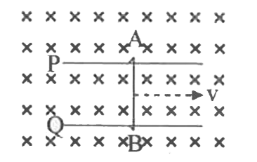 चित्रानुसार एक चालक तार AB (लम्बाई l) दो समांतर पटरियों P तथा Q पर वेग v से गतिशील है । पटरियों के तल के लंबवत नीचे की ओर एकसमान चुंबकीय क्षेत्र लगाया गया है।  छड़ का वेग नियत
 रखने के लिए आवश्यक बल का मान होगा-