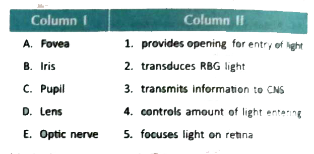 Match the columns