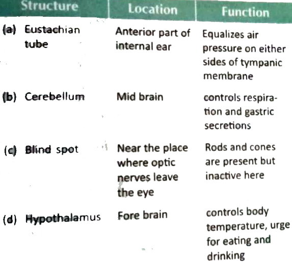 Select the answer with correct matching of the structure, its location and function