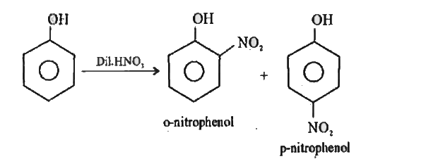 Explain Nitration Of Phenol 