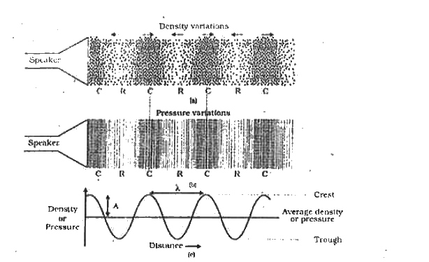 ocr_image