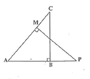 In Fig , ABC and AMP are two right triangles, right angled  at B and M respectively. Prove that :   (CA)/(PA)=(BC)/(MP)