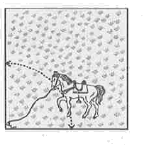 A horse is tied to a peg at one corner of a square shaped grass field of side 15 m by means of a 5 m long rope (see 5.11). Find   the area of that part of the field in which the horse can graze.