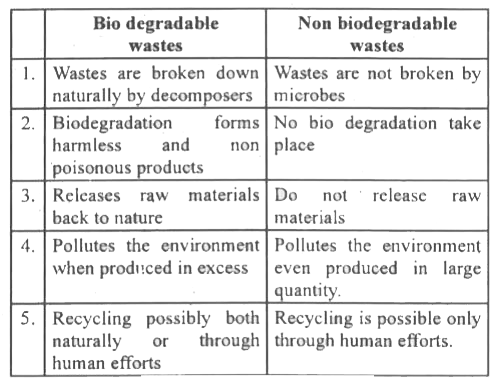 difference-between-biodegradable-and-non-biodegradable-biodegradable