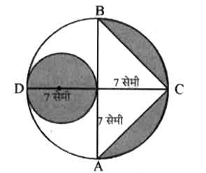 चित्र में AB और CD केन्द्र O वाले एक वृत्त के दो परस्पर लम्ब व्यास हैं तथा OD छोटे वृत्त का व्यास है। यदि OA = 7 सेमी हो तो छायांकित भाग का क्षेत्रफल ज्ञात कीजिए।
