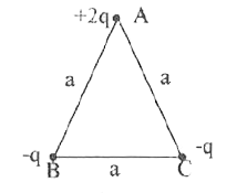 a भुजा वाले समबाहु त्रिभुज ABC के शीर्षों पर तीन आवेशों +2q, -q तथा -q को क्रमशः A, B एवं C पर चित्र के अनुसार रखा गया है। इस निकाय का द्विध्रुव आघूर्ण ज्ञात कीजिये।