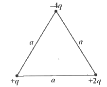 चित्र के अनुसार तीन आवेश व्यवस्थित किये गये हैं। उनकी पारस्परिक स्थितिज ऊर्जा का मान ज्ञात करो। मान लो q = 1 xx 10^(-7)C, a = 0.10 m .
