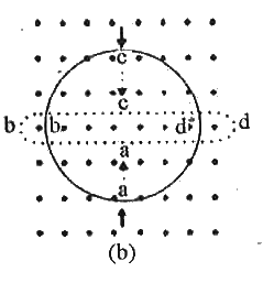 चित्र  में वर्दित  स्थितयो   के लिए लेन्ज  के नियम का उपयोग करते  हुए  प्रेरित  विधुत  धारा  की दिशा  ज्ञात  कीजिये   जब एक वृताकार लूप    एक सीधे  बरिको  तार में विरूपित  किया जा रहा है