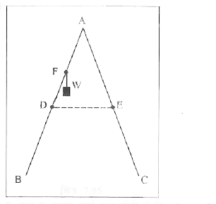 जैसा चित्र में दिखाया गया है, एक खड़ी होने वाली सीढ़ी के दो पक्षों BA और CA की लम्बाई 1.6m है और इनको A पर कब्जा लगाकर जोड़ा गया है। इन्हें ठीक बीच में 0.5m लम्बी रस्सी DE द्वारा बांधा गया है। सीढ़ी BA के अनुदिश B से 1.2m की दूरी पर स्थित बिन्दु F से 40kg का एक भार लटकाया गया है। यह मानते हुए कि फर्श घर्षण रहित है और सीढ़ी का भार उपेक्षणीय है, रस्सी में तनाव और सीढी पर फर्श द्वारा लगाया गया बल ज्ञात कीजिए। (g=9.8 m/S^2 लीजिए)