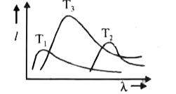 तीन कृष्ण पिंडो के लिए तीव्रता - तरंगदैर्घ्य ग्राफ प्रदर्शित है।  पिंडो के ताप क्रमश : T(1), T(2) व T(3) हो तो T(1), T(2),  व T(3) में सम्बन्ध ज्ञात कीजिए।