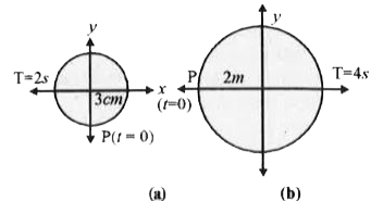 चित्र में दिए गए दो आरेख दो वर्तुल गतियों के तदनुरूपी है।  प्रत्येक आरेख पर वृत्त की त्रिज्या , परिक्रमण-काल, आरंभिक स्थिति और परिक्रमण की दिशा दर्शायी गयी है।  प्रत्येक प्रकरण में , परिक्रमण करते कण के त्रिज्य-सदिश के X -अक्ष पर प्रक्षेप की तदनुरूपी सरल आवर्त गति ज्ञात कीजिए।