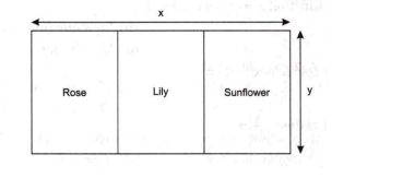 Gita , Rita and Sita are three friends and want to plant different types of flowers namely Rose, Lily and Sunflower respectively respectively in three different section which is fenced by 600 m of wire to make it enclosed for each type of flowers as shown in figure :   Maximum area will be when x =