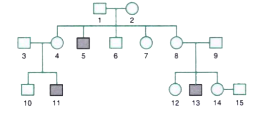 Haemophilia is a sex-linked recessive disorder of humans. The given pedigree chart shows the inheritance of haemophilia in one family. Study the pattern of inheritance and answer the questions given.      (a) Give all the possible genotypes of the members 4, 5 and 6 in the pedigree chart. (b) A blood test shows that the individual 14 is a carrier of haemophilia. The member number 15 has recently married the member numbered 14. What is the probability that their first child will be a haemophilic male?